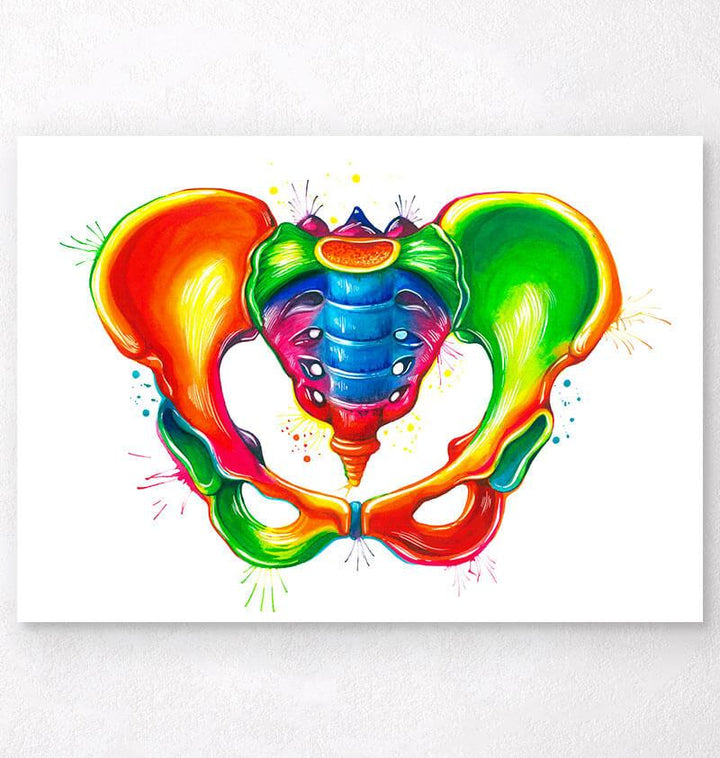 Female pelvis anatomy poster