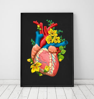 Heart anatomy poster 