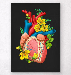 Heart anatomy poster with flowers