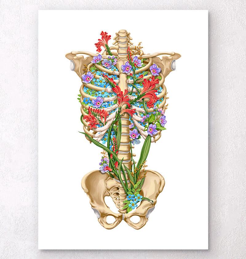 Floral rib cage anatomy art print - Codex Anatomicus