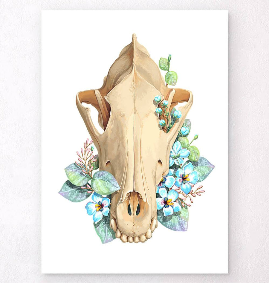 Deer anatomy poster – Codex Anatomicus