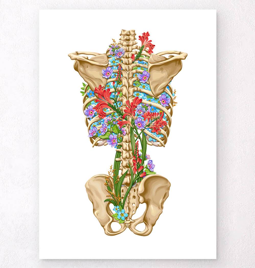 Back skeleton anatomy art print - Codex Anatomicus