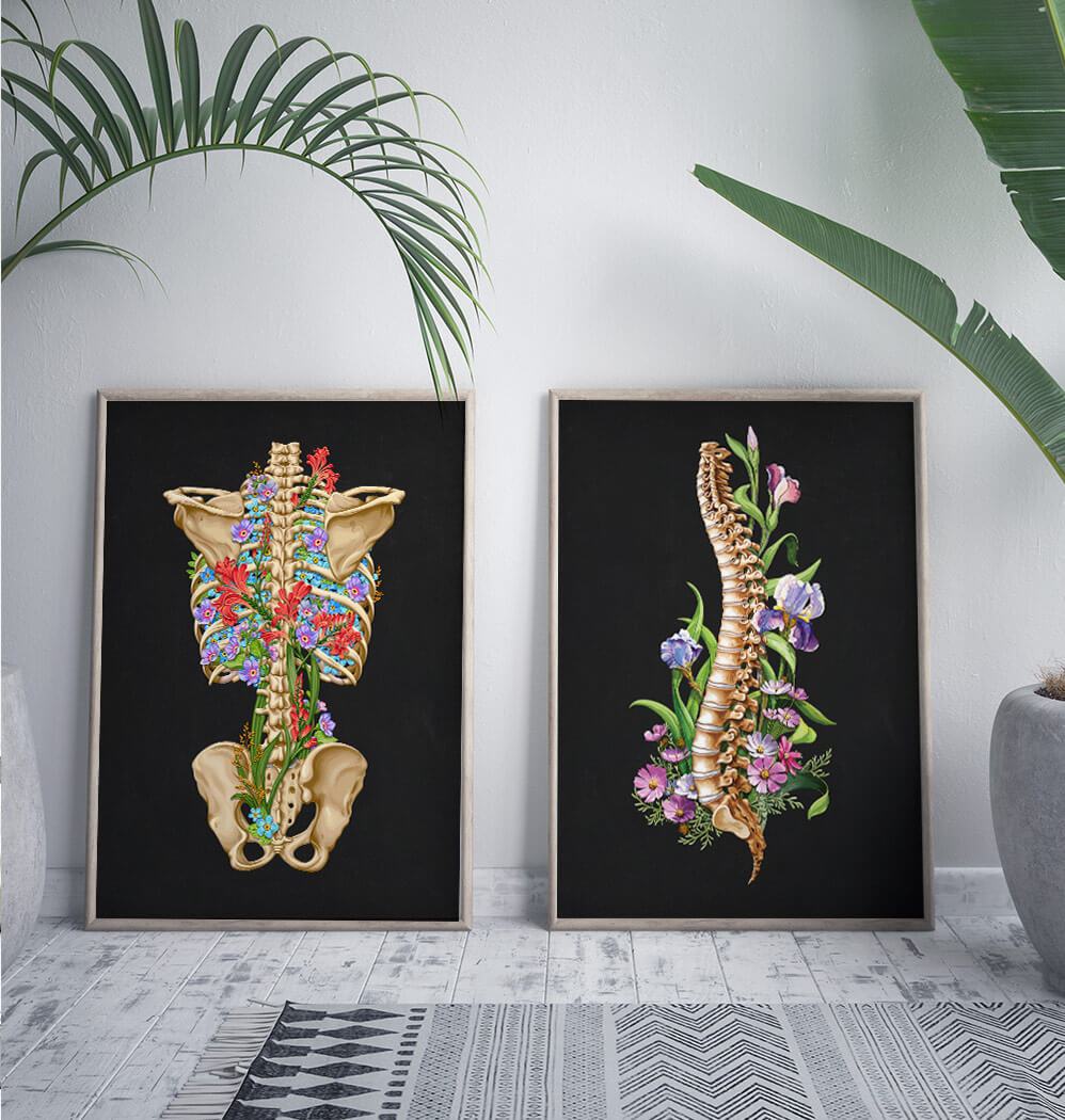 Back skeleton anatomy art print - Codex Anatomicus