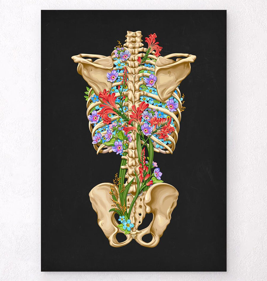 Rückenskelett Anatomie - Floral - Schwarz