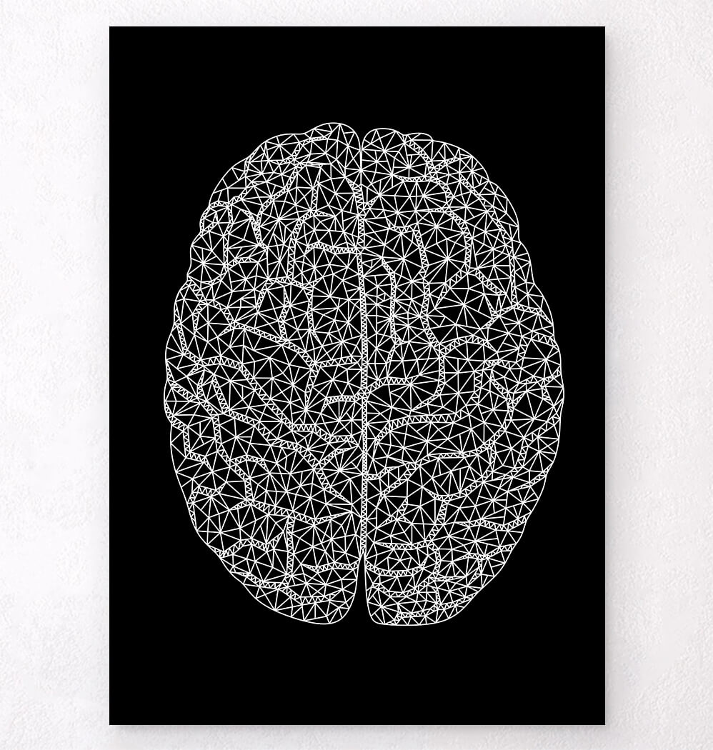 Geometry Brain Minimal geometric brain anatomy art print - Codex Anatomicus
