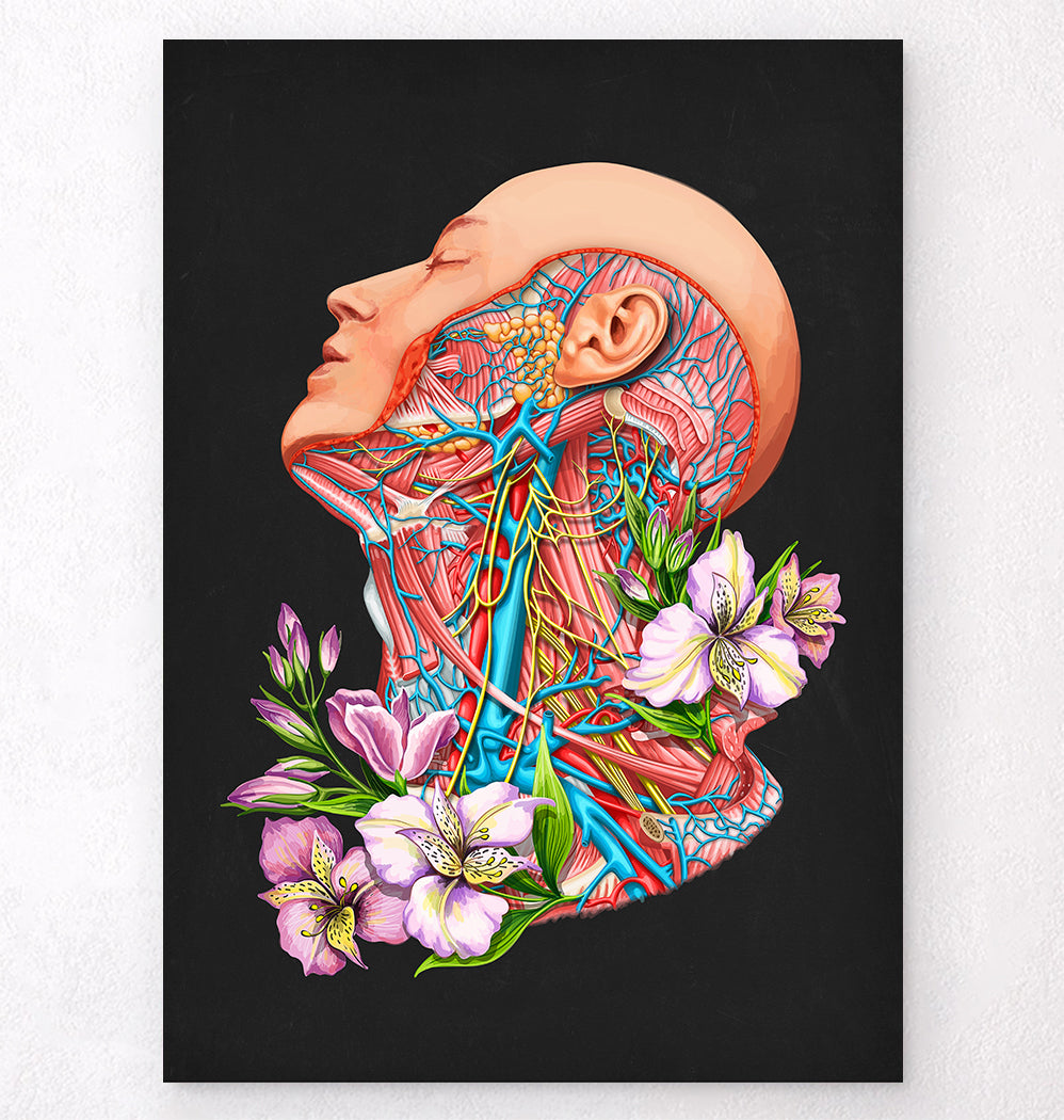 Blood vessels of the neck - Floral - Black - Codex Anatomicus