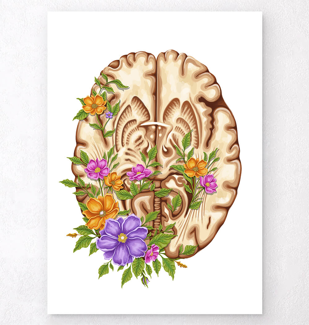 Floral brain anatomy art print - Codex Anatomicus