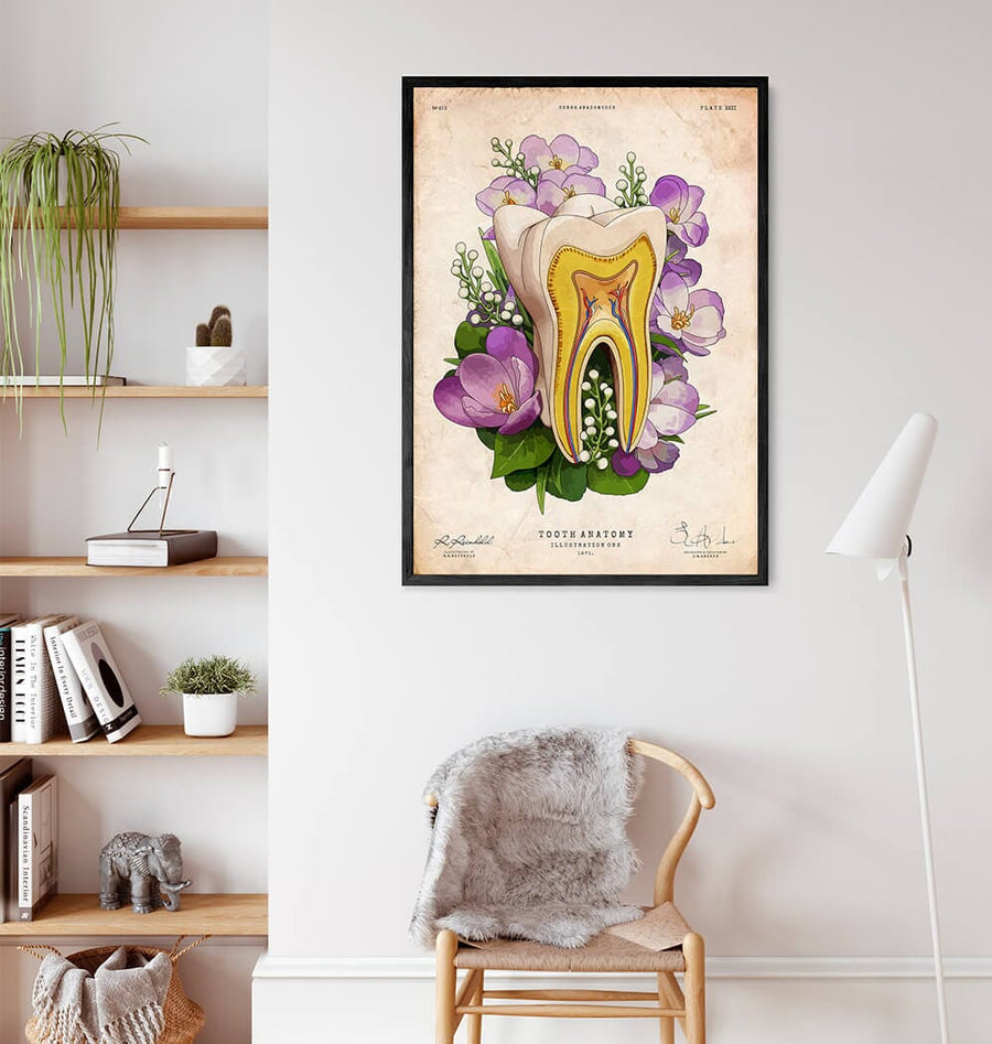 floral tooth poster by codex anatomicus