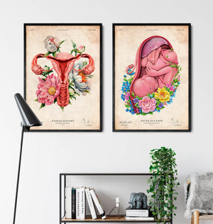 Anatomie de l'utérus - Floral - Vieux papier