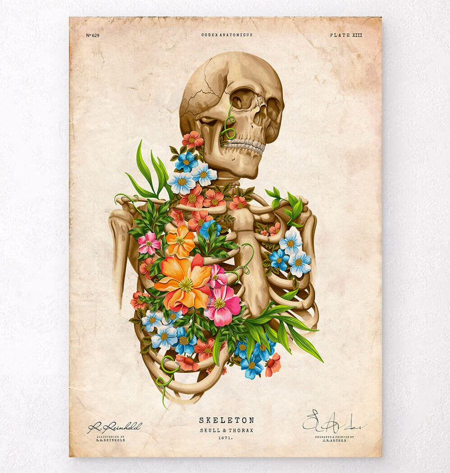 Floral skeleton - Anatomy art print - Codex Anatomicus
