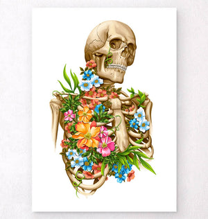 Skeleton anatomy poster