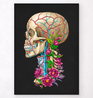 Floral skull anatomy art diagram – Codex Anatomicus