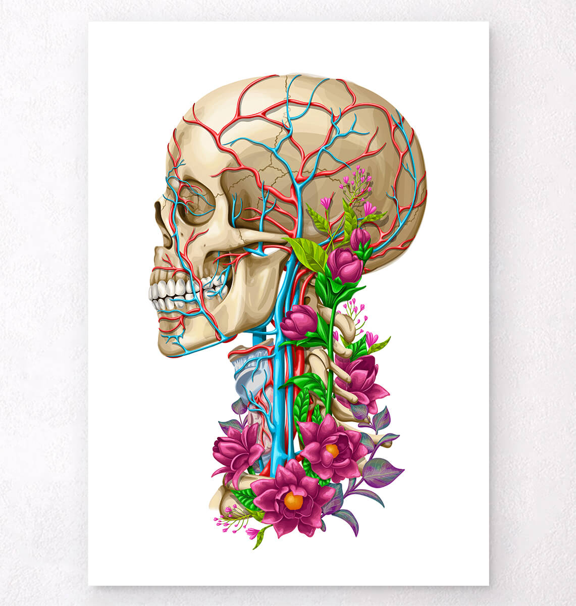 Floral skull - Anatomy art print - Codex Anatomicus