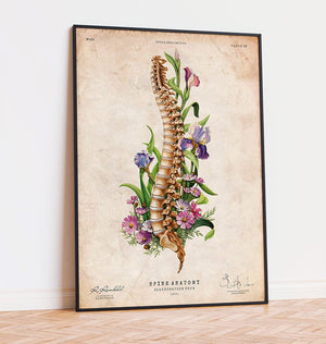 Spine anatomy art