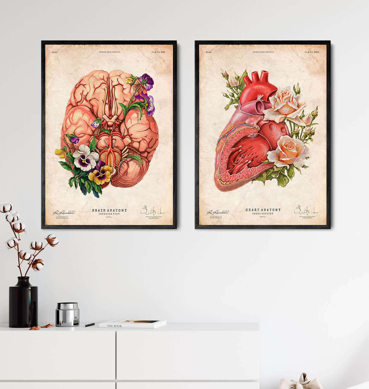 Heart section diagram anatomy art print - Heart Anatomy – Codex Anatomicus