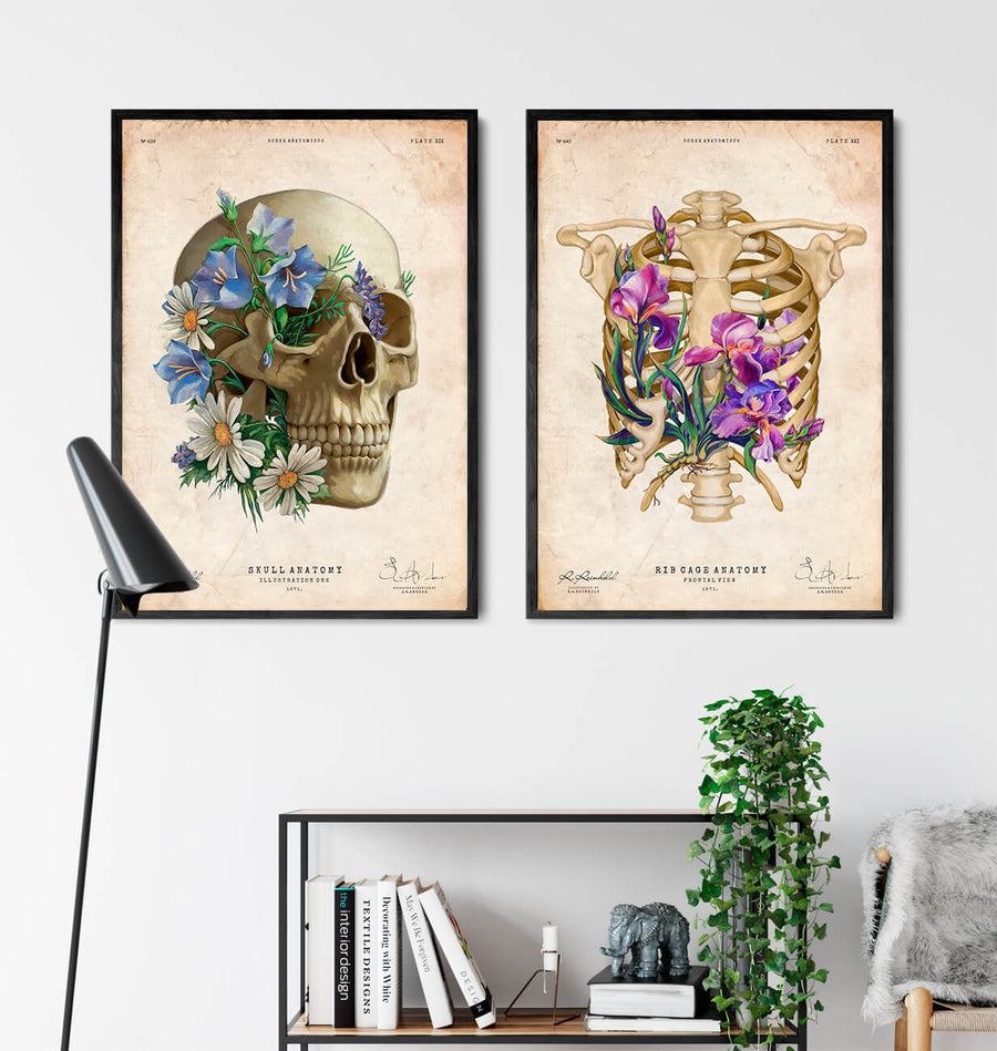 Anatomie du crâne - Floral - Vieux papier