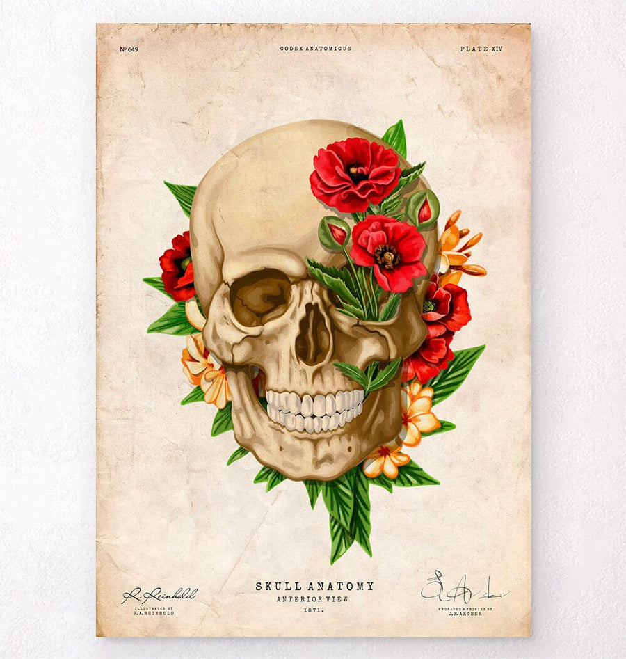Floral Skull by Doctor Katie