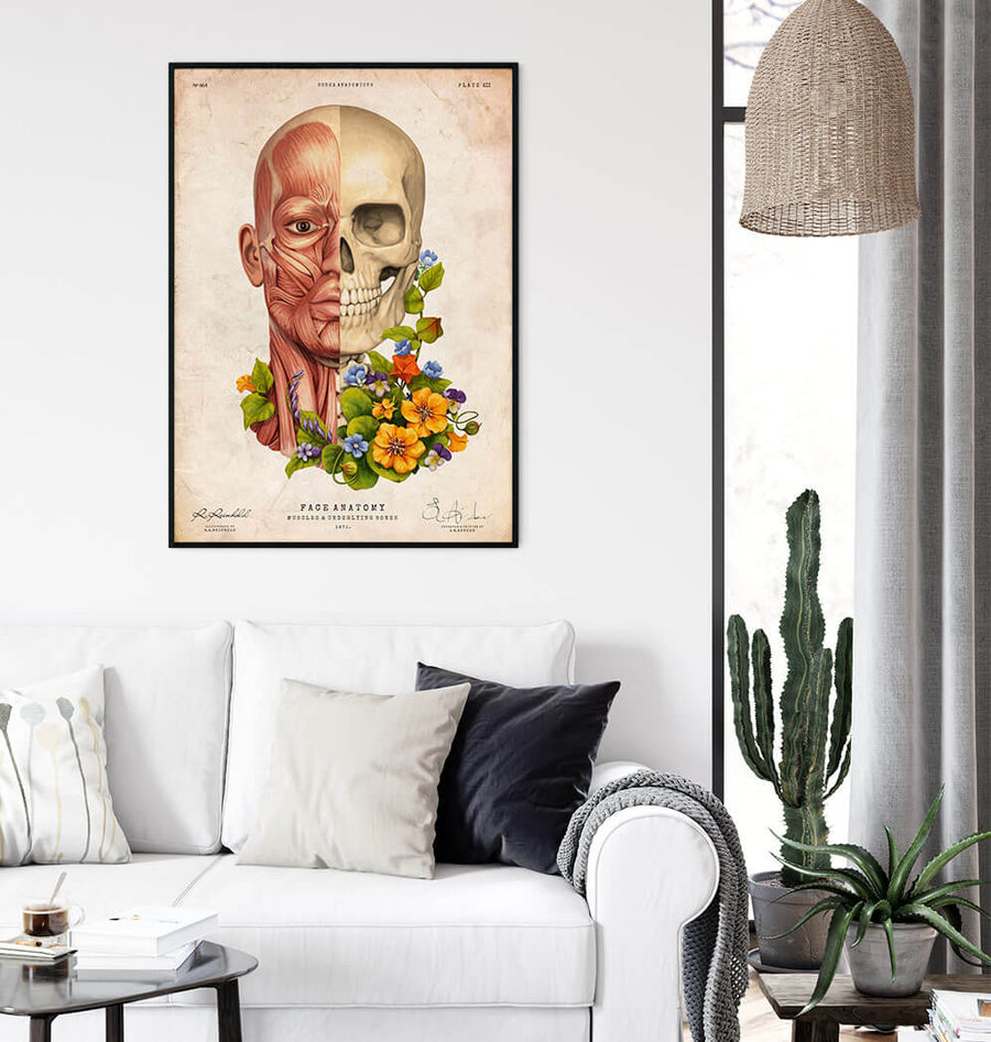 Facial muscles anatomy - Floral - Vintage