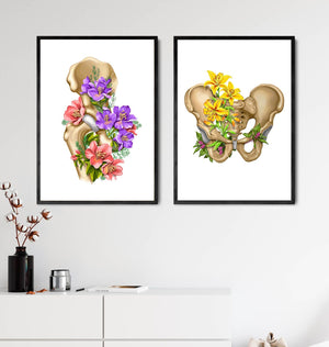 Male pelvis anatomy - Floral - White