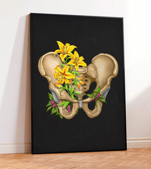 Pelvis anatomy art print