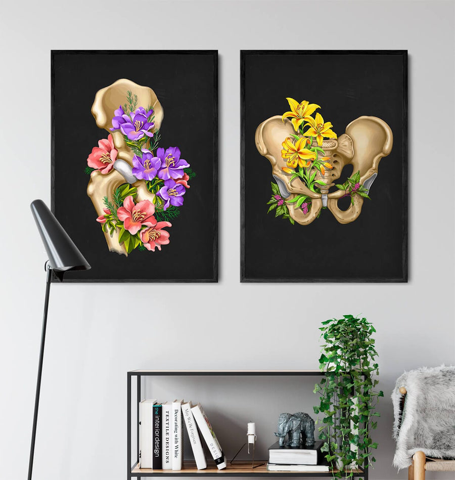 Male pelvis anatomy - Floral - Black