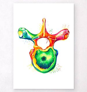 Thoracic vertebra anatomy watercolor art