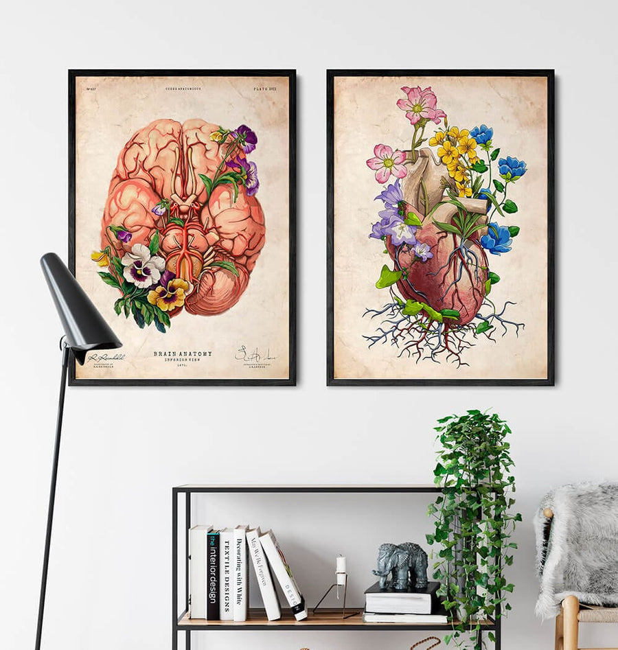 Floral heart anatomy poster