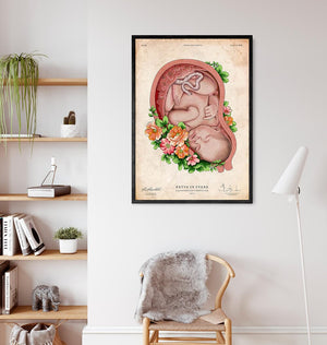 Fetus in a womb anatomy poster