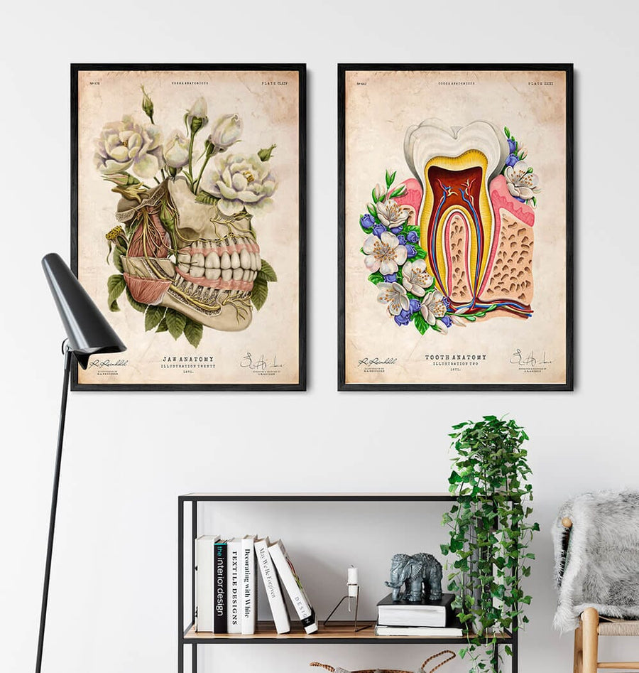 Dental clinic art