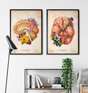 Neurology brain anatomy art