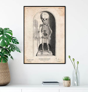 baby skeleton art print