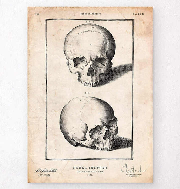 Skull art print