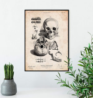 Human skull print