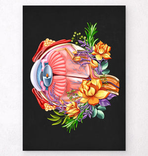 Eye anatomy art print