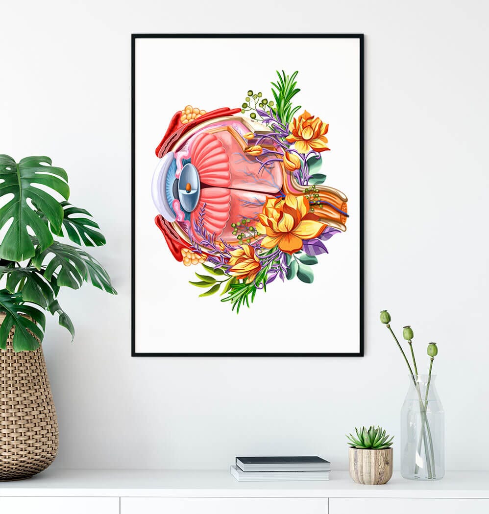 Eye anatomy art print - Codex Anatomicus