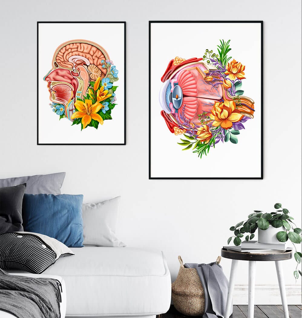 Eye anatomy art print - Codex Anatomicus