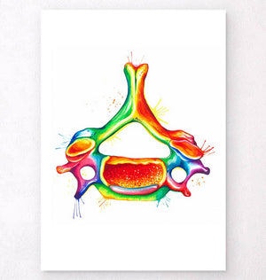 Cervical vertebra anatomy art