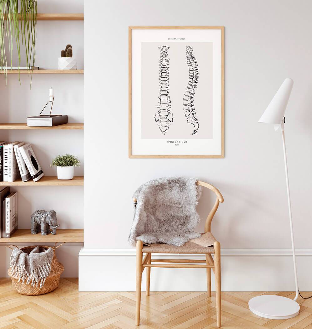 Spine Anatomy - Line Art Poster - Codex Anatomicus