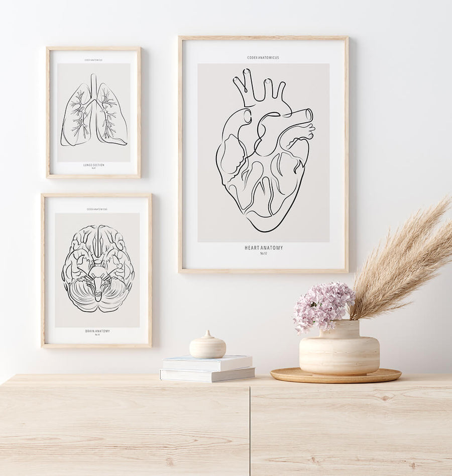 Heart anatomy art print by codex anatomicus