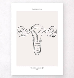 uterus anatomy art