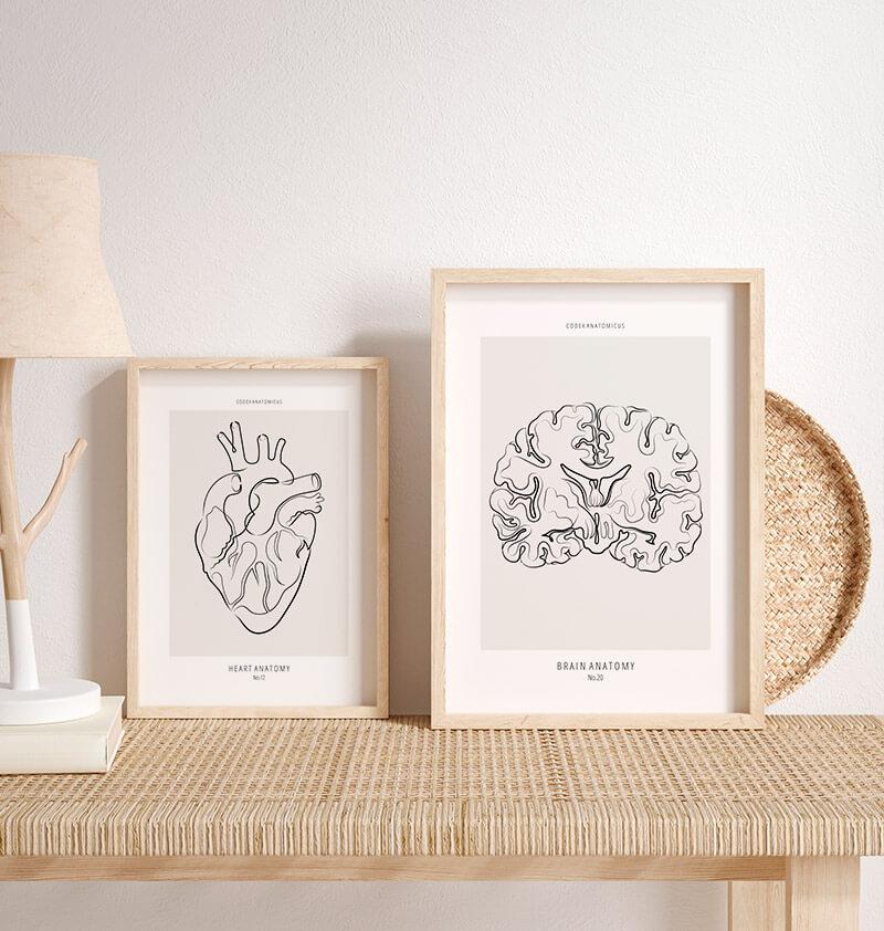 Anatomical brain line art print - Codex Anatomicus