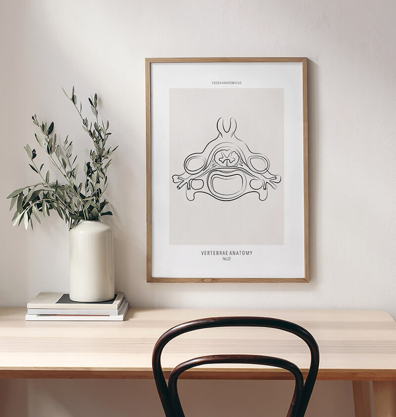 Anatomical vertebrae line art print - Codex Anatomicus