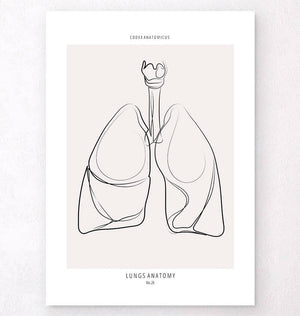 Lungs line art