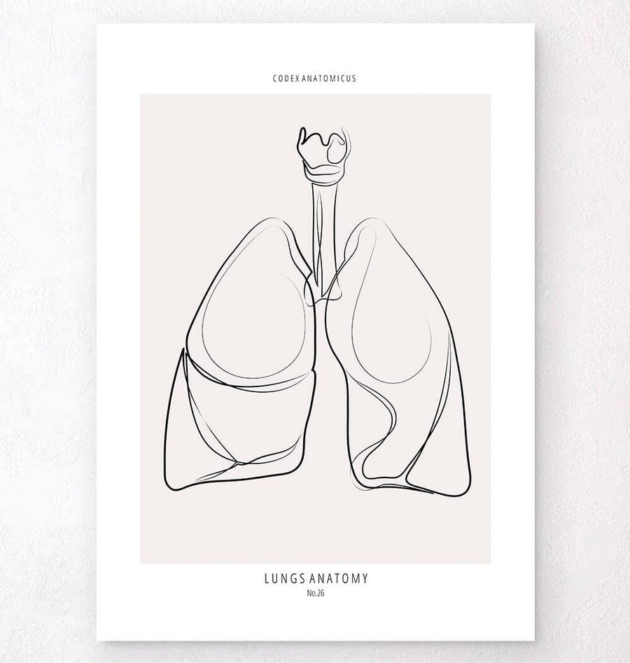 Lungs line art