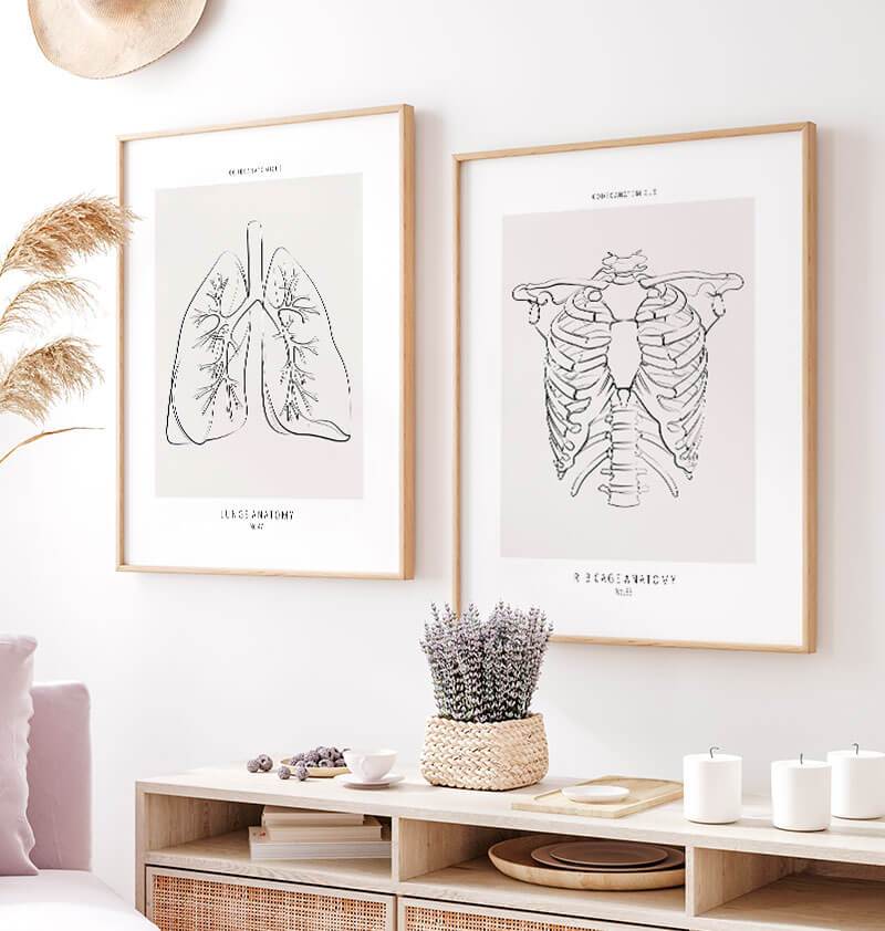Anatomical rib cage line art print - Codex Anatomicus