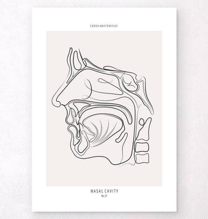 Nose anatomy poster by codex anatomicus