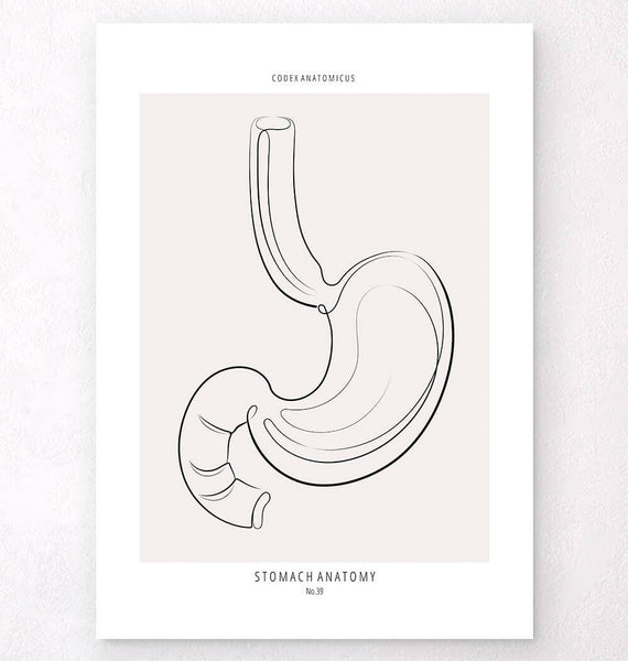 絵画 In my stomach 絵画 In my stomach 絵画 In my stomach Stomach anatomy art print