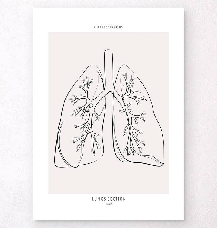 Anatomical Lungs Art Drawing Made Realistic Stock Vector (Royalty Free)  1623220648 | Shutterstock