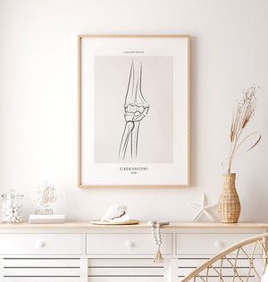 Elbow anatomy poster