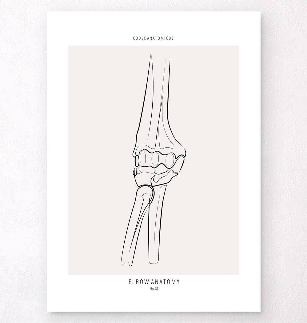 Elbow To Color Elbow Anatomy - Art print - Codex Anatomicus